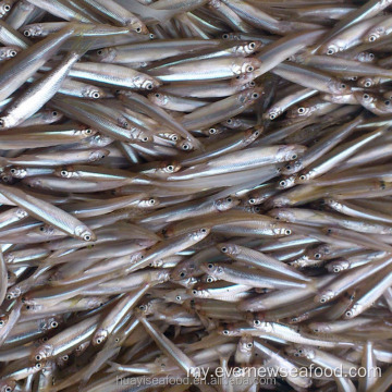 အရည်အသွေးမြင့် iqf ငါး whitebait